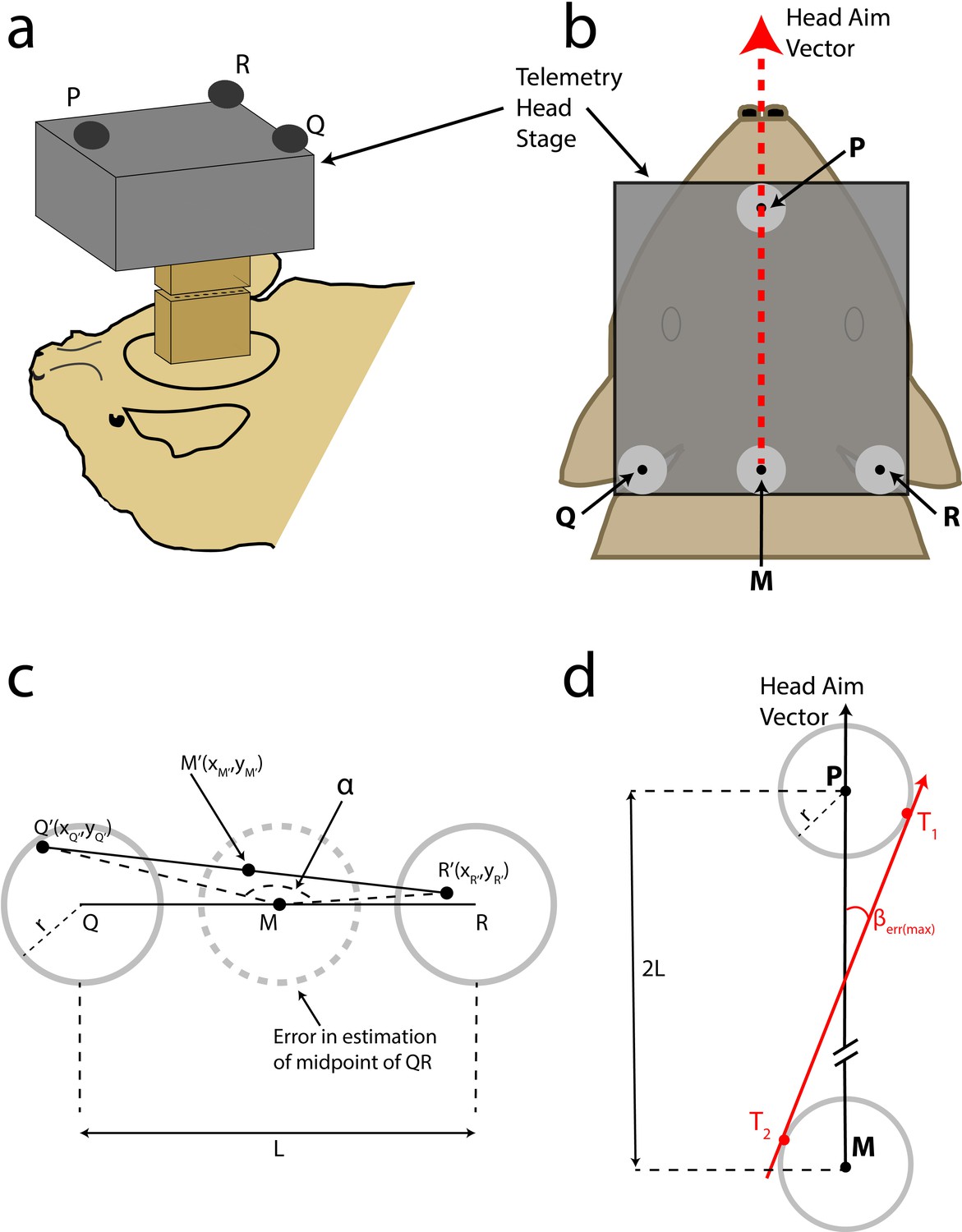 Figures and data in Dynamic representation of 3D auditory space in the ...