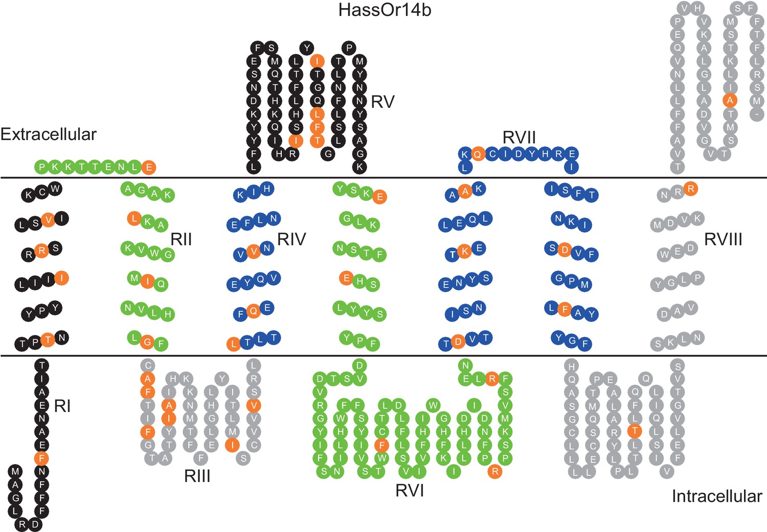 Two Single Point Mutations Shift The Ligand Selectivity Of A Pheromone Receptor Between Two 