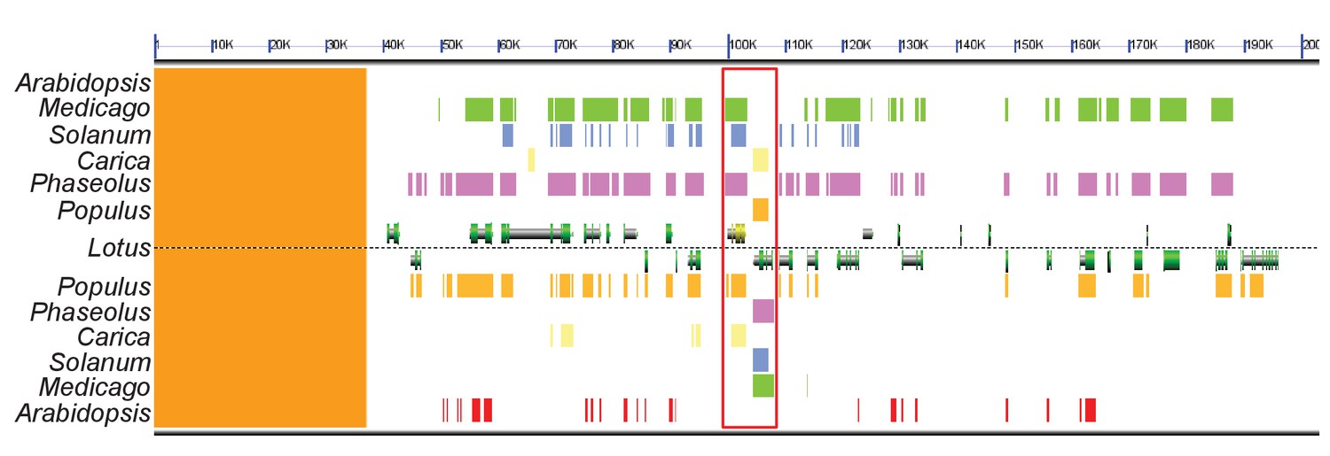 Figures and data in Lipid transfer from plants to arbuscular mycorrhiza ...