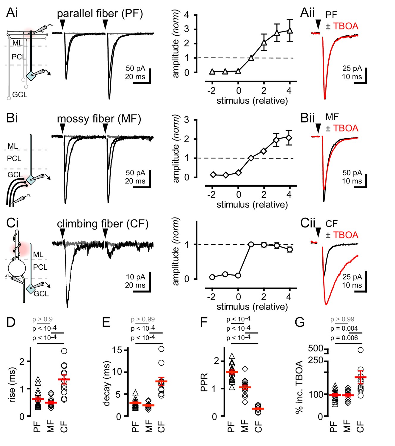 Non-synaptic signaling from cerebellar climbing fibers modulates Golgi ...