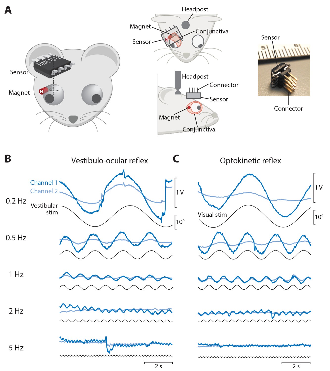 Magnetic Eye Tracking In Mice ELife