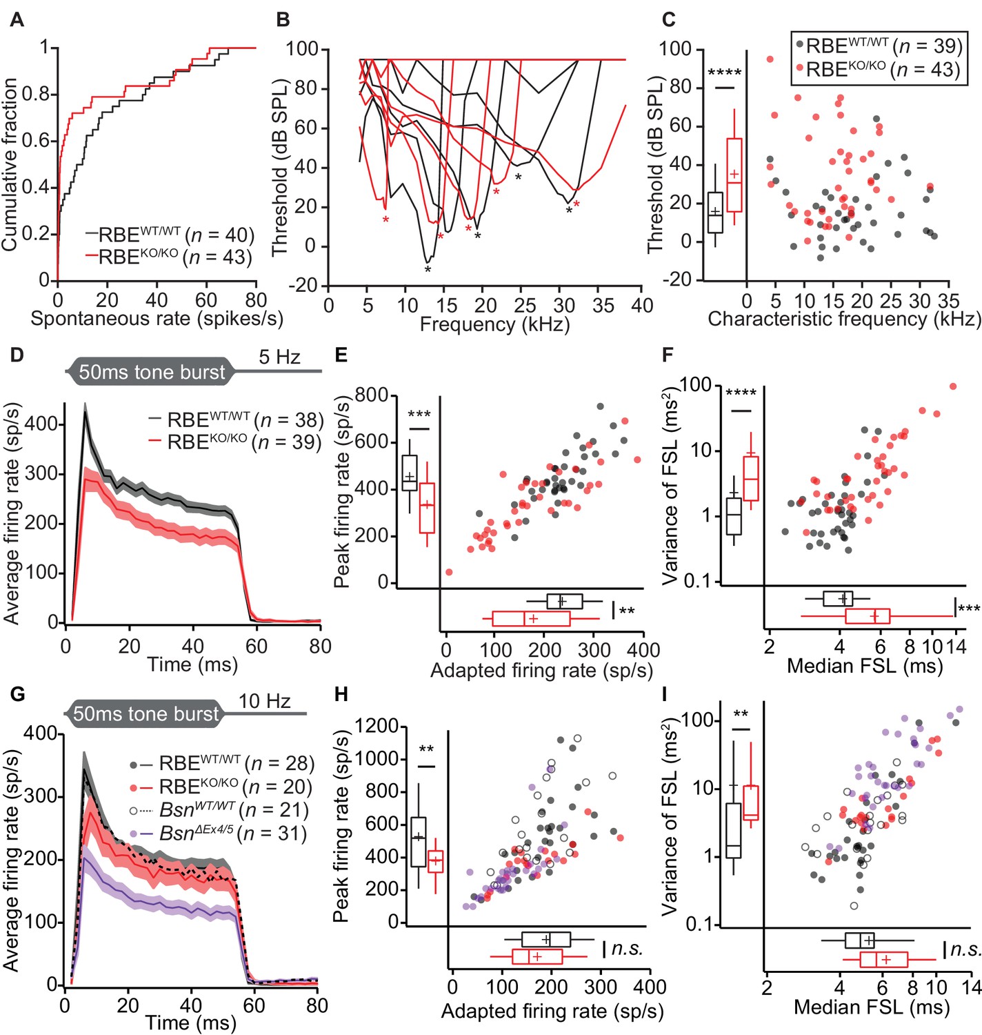 The synaptic ribbon is critical for sound encoding at high rates and ...