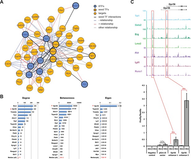 Single-cell transcriptomics reveals a new dynamical function of ...