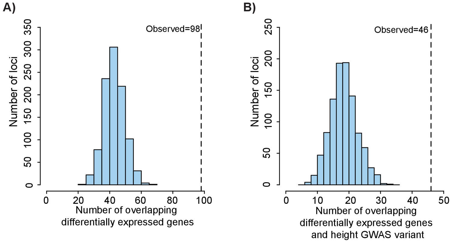 Epigenetic profiling of growth plate chondrocytes sheds insight