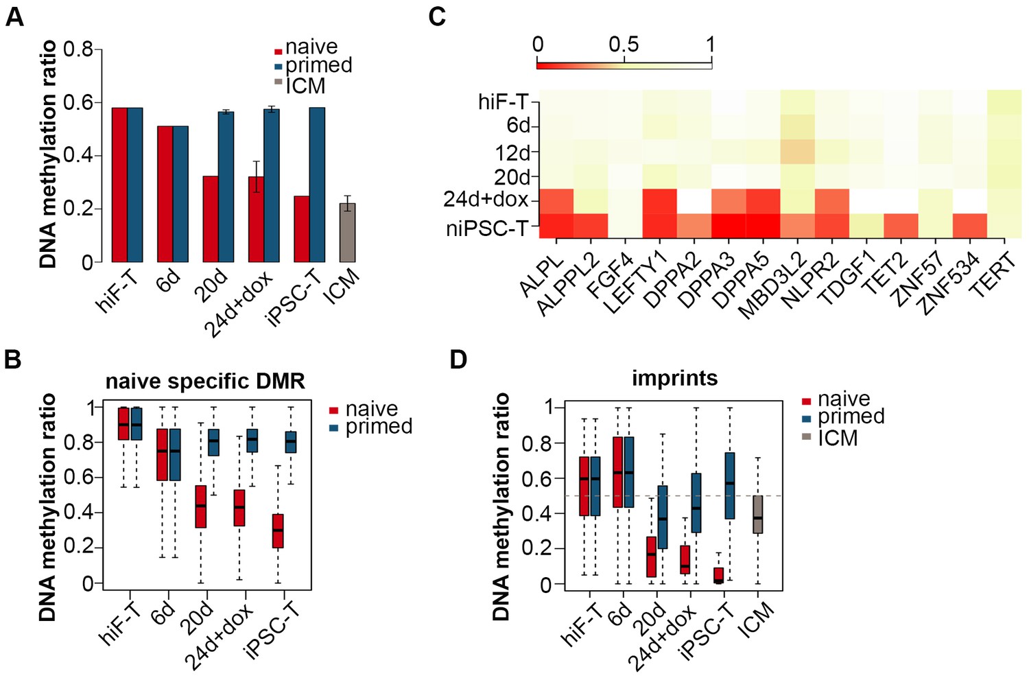 Unique Molecular Events During Reprogramming Of Human Somatic Cells To ...