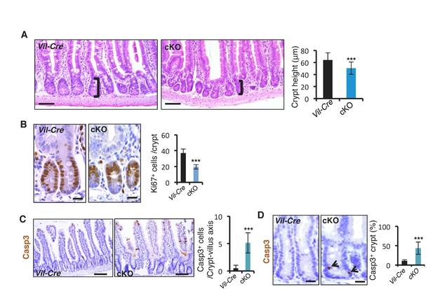 Figures And Data In Stress Responsive Mir Is A Major Modulator Of