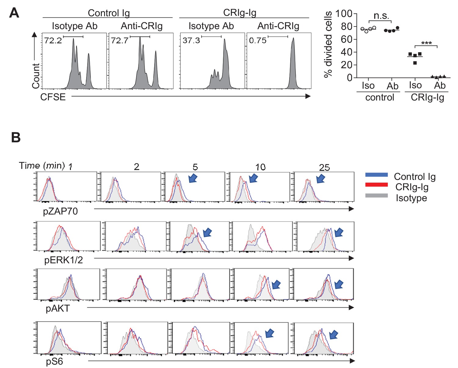 Figures and data in CRIg, a tissue-resident macrophage specific immune ...