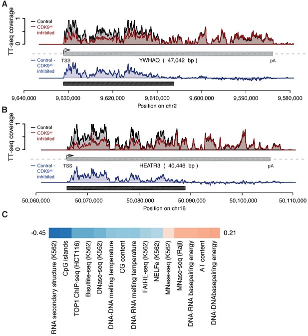 Figures And Data In Cdk9 Dependent Rna Polymerase Ii Pausing Controls Transcription Initiation 5426