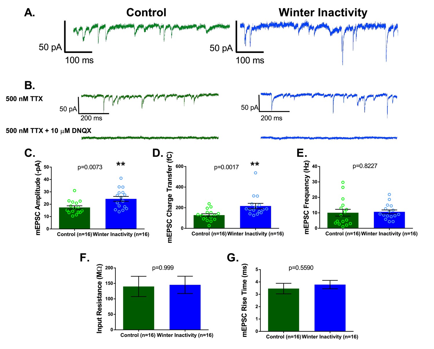 Figures And Data In Synaptic Up-scaling Preserves Motor Circuit Output ...