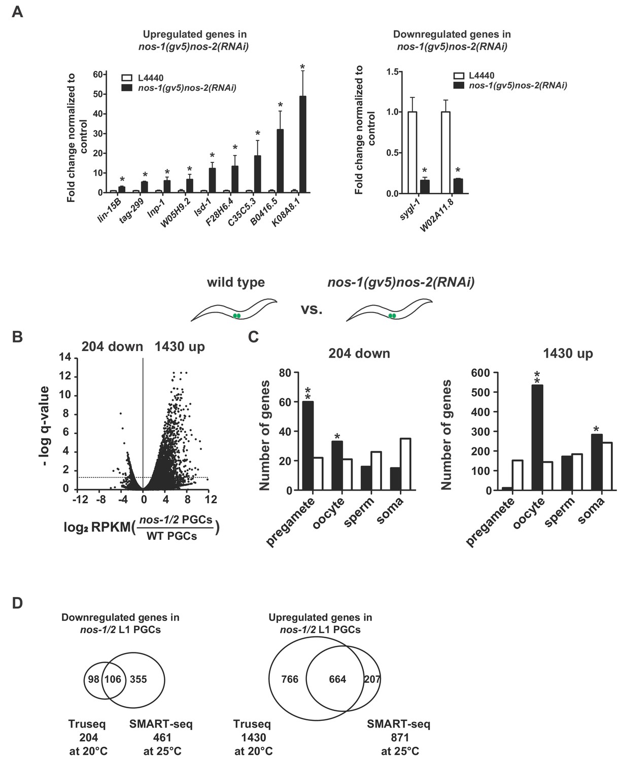 Figures and data in Nanos promotes epigenetic reprograming of the ...