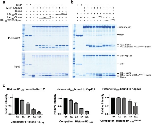 Structure-based nuclear import mechanism of histones H3 and H4 mediated ...