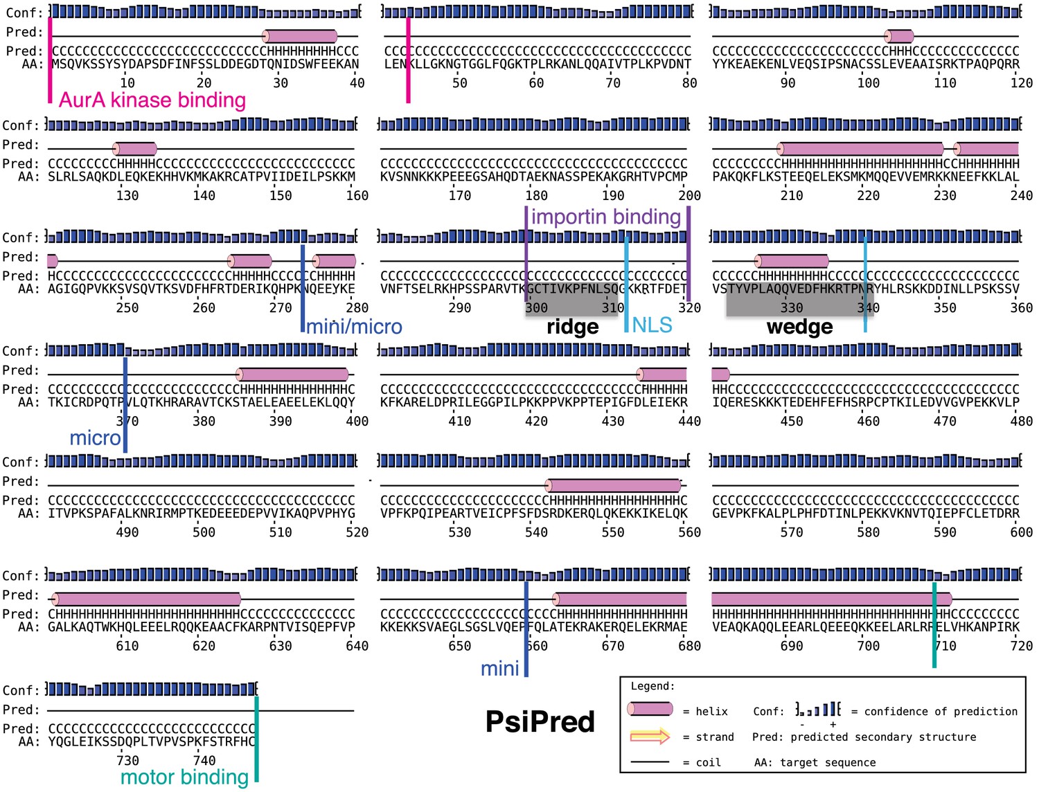 Figures and data in Structural insight into TPX2stimulated microtubule
