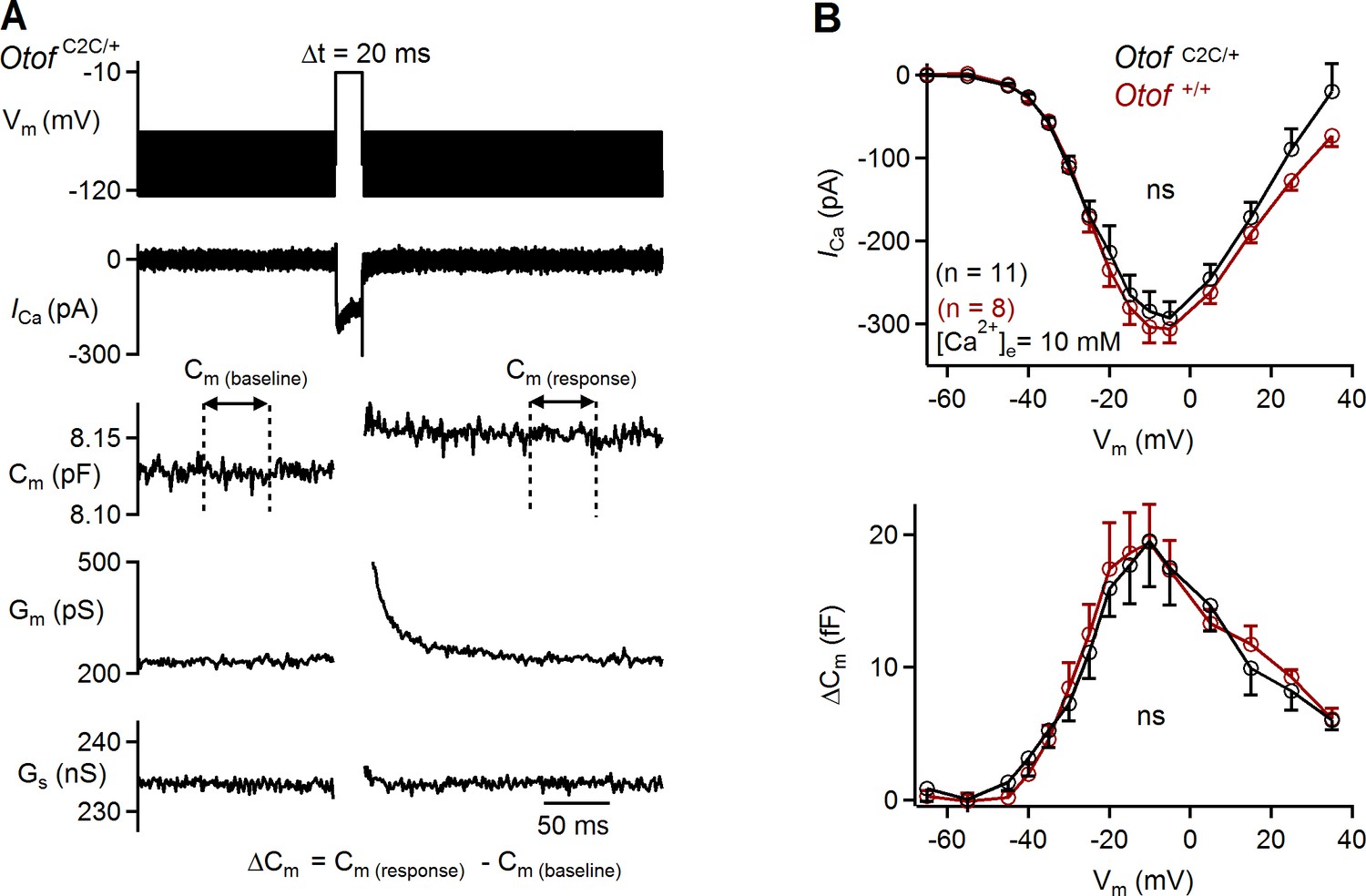 Figures And Data In Otoferlin Acts As A Ca2 Sensor For Vesicle Fusion