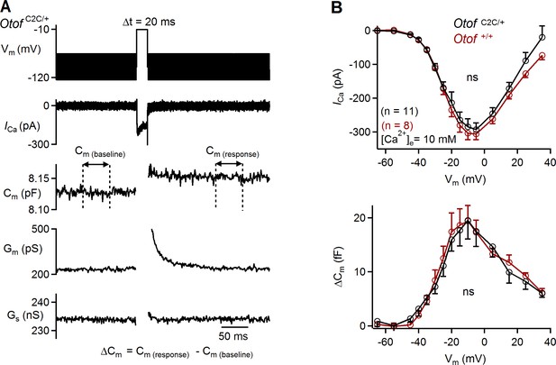 Figures and data in Otoferlin acts as a Ca2+ sensor for vesicle fusion ...