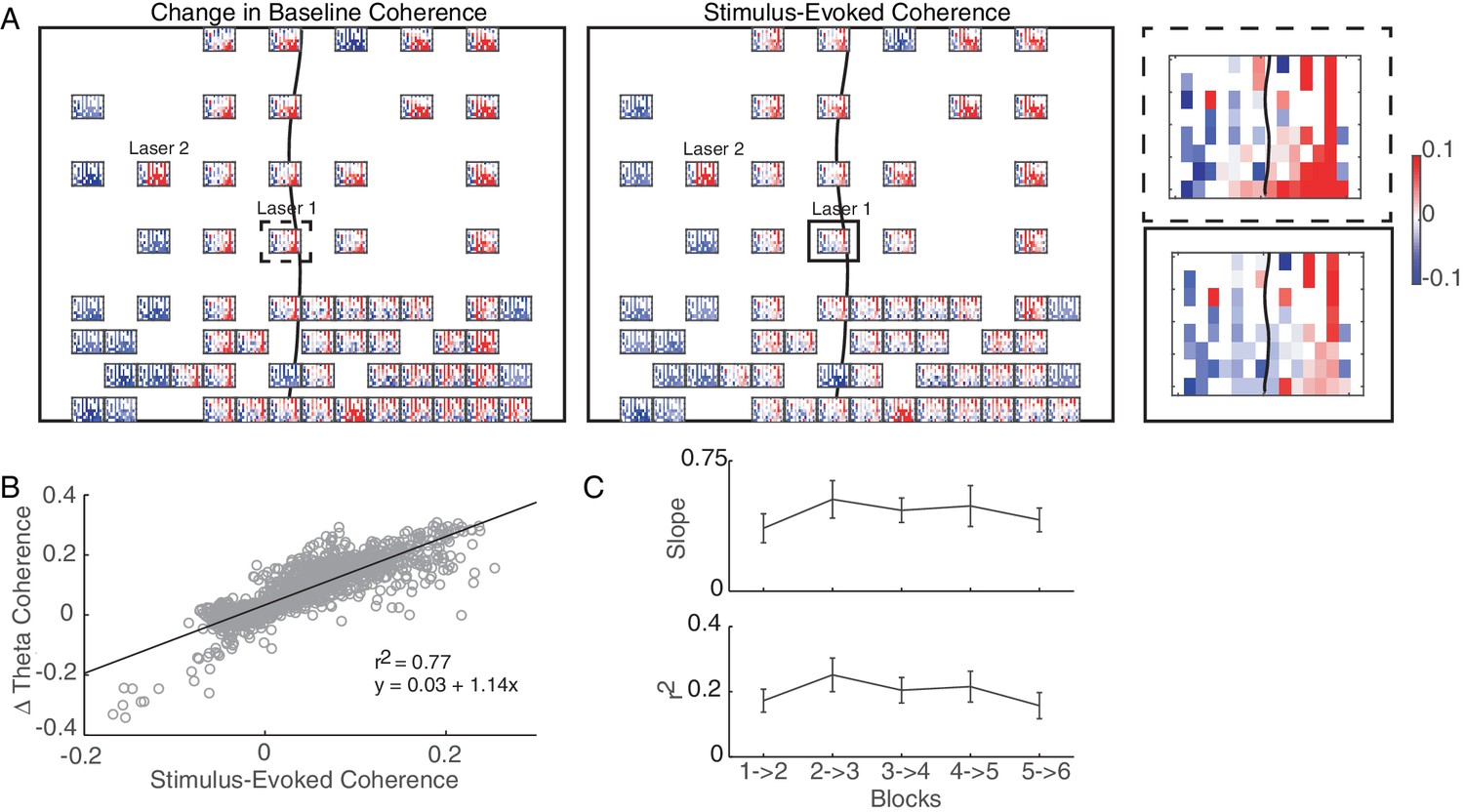 Targeted cortical reorganization using optogenetics in non-human ...