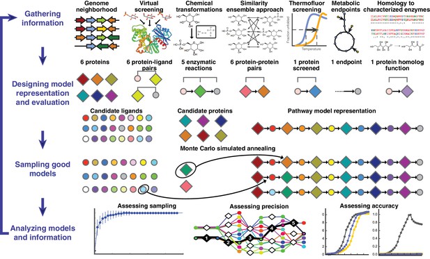 Prediction of enzymatic pathways by integrative pathway mapping | eLife