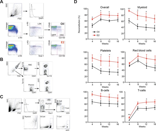 Figures and data in ERα promotes murine hematopoietic regeneration ...