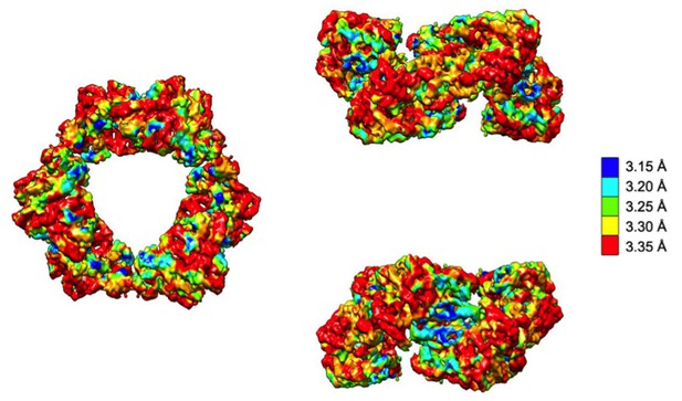 Figures And Data In 3.3-Å Resolution Cryo-EM Structure Of Human ...