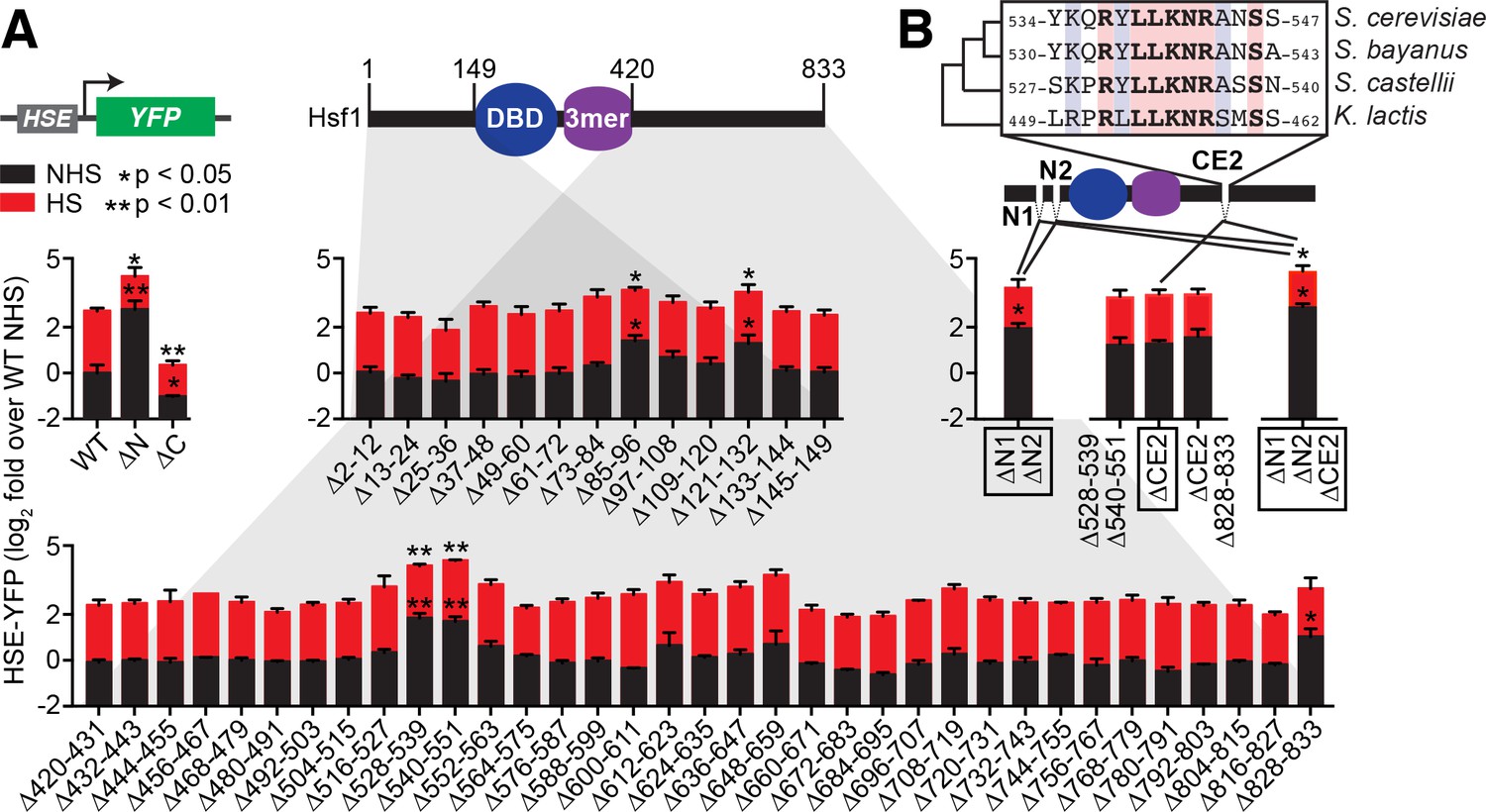 Hsf1 and Hsp70 constitute a two-component feedback loop that regulates ...