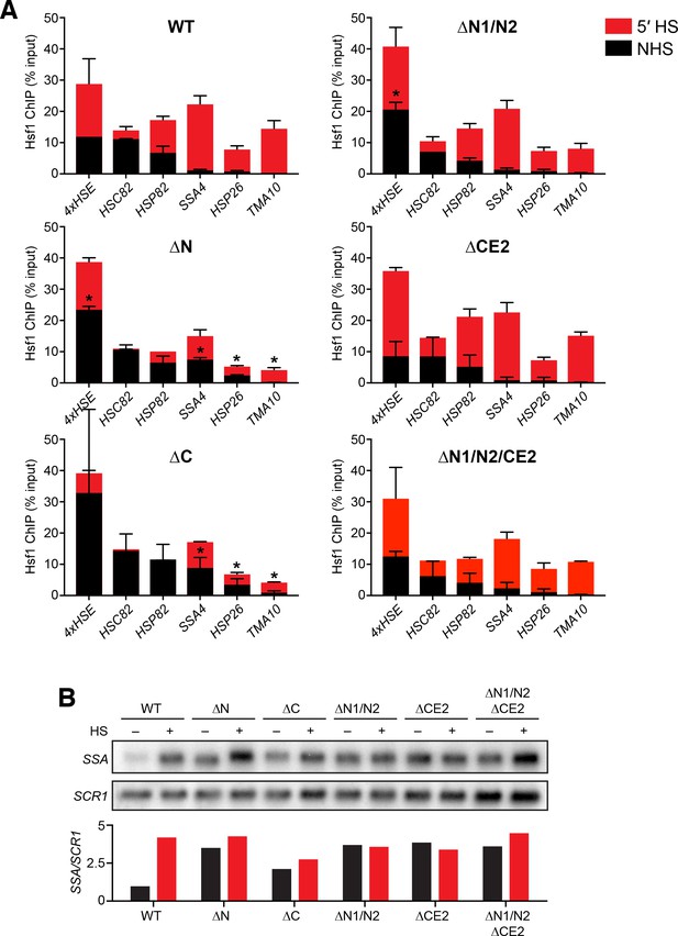 Figures and data in Hsf1 and Hsp70 constitute a two-component feedback ...