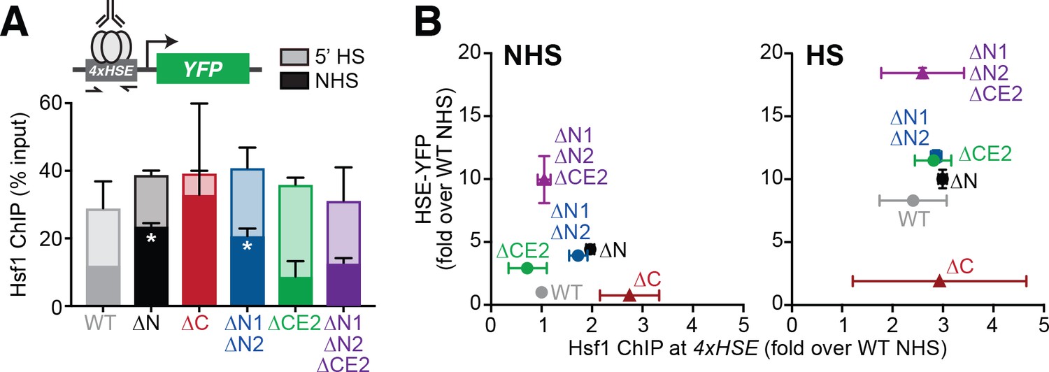 Hsf1 and Hsp70 constitute a two-component feedback loop that regulates ...