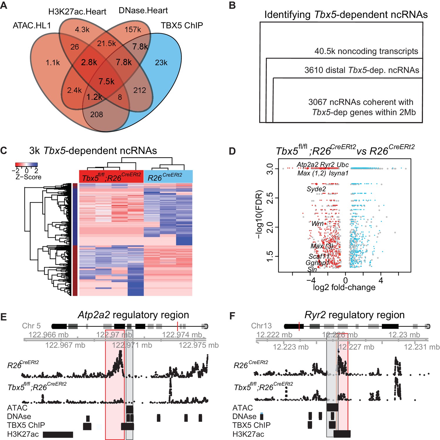 Figures And Data In Transcription-factor-dependent Enhancer ...