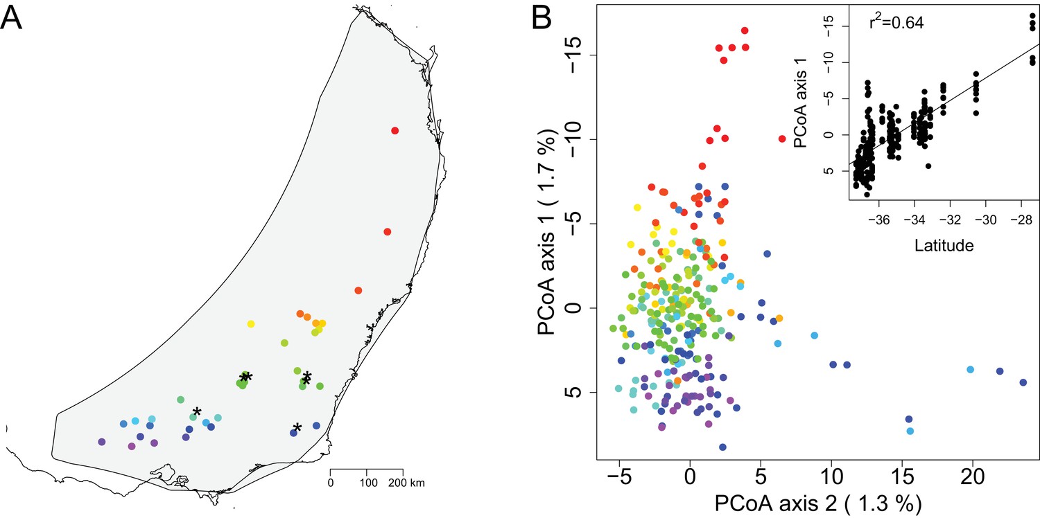 Landscape genomic prediction for restoration of a Eucalyptus foundation ...