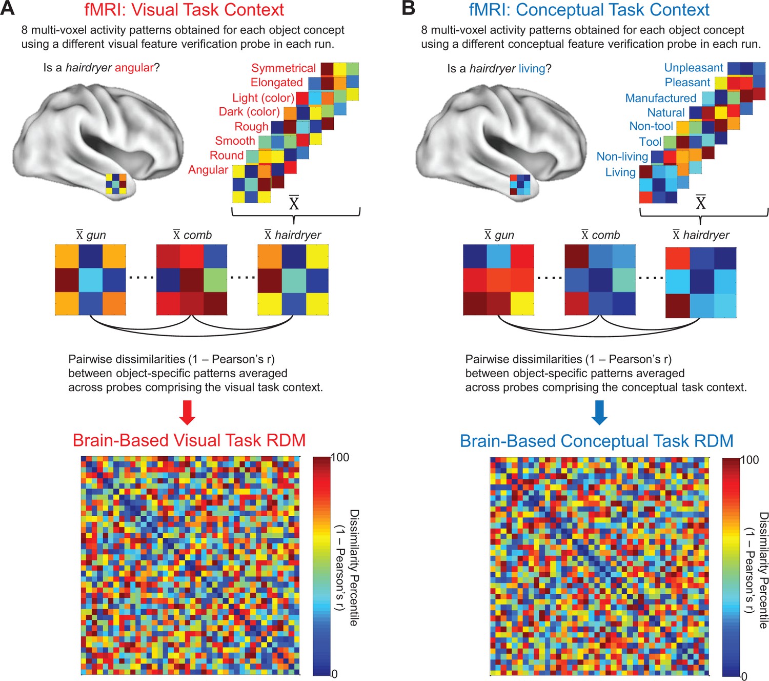 Integrative and distinctive coding of visual and conceptual object ...