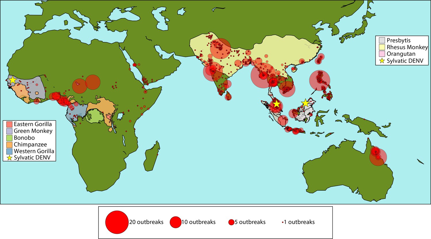 Figures And Data In Dengue Viruses Cleave Sting In Humans But Not In 