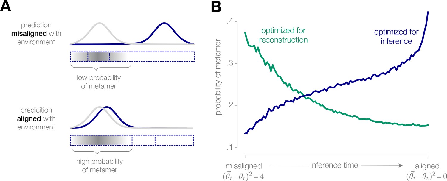 Figures And Data In Adaptive Coding For Dynamic Sensory Inference | ELife