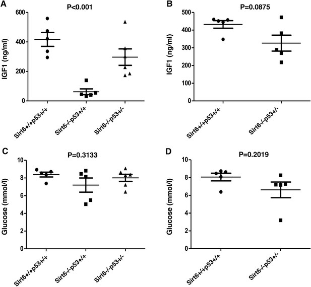 Figures And Data In Haploinsufficiency Of Trp53 Dramatically Extends ...