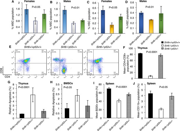 Haploinsufficiency Of Trp53 Dramatically Extends The Lifespan Of Sirt6 ...