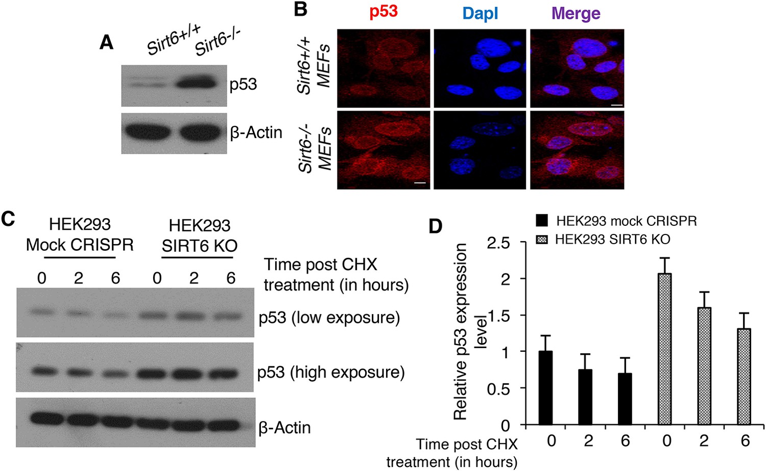 Figures And Data In Haploinsufficiency Of Trp53 Dramatically Extends ...