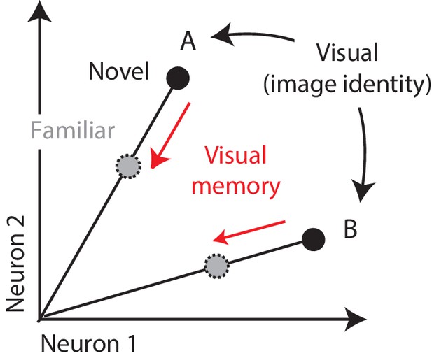 Single-exposure Visual Memory Judgments Are Reflected In Inferotemporal ...