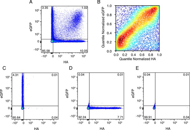 Figures and data in Extreme heterogeneity of influenza virus infection ...