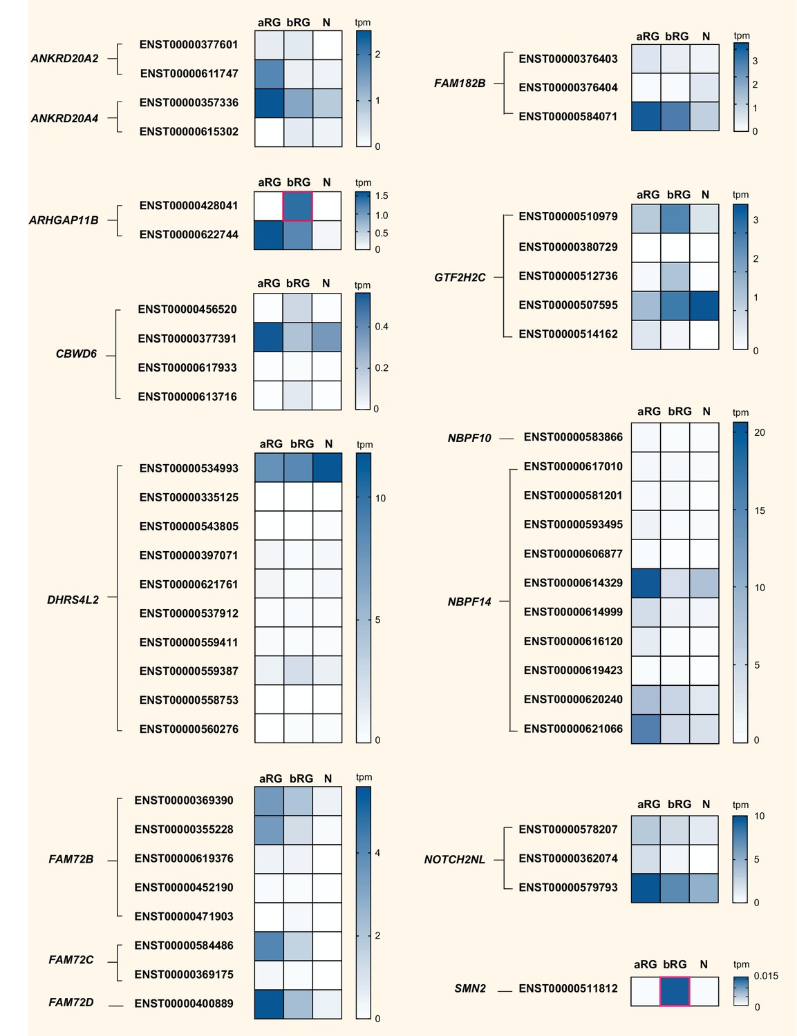 Evolution And Cell Type Specificity Of Human Specific Genes