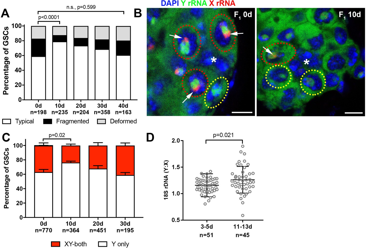 Figures And Data In Transgenerational Dynamics Of RDNA Copy Number In