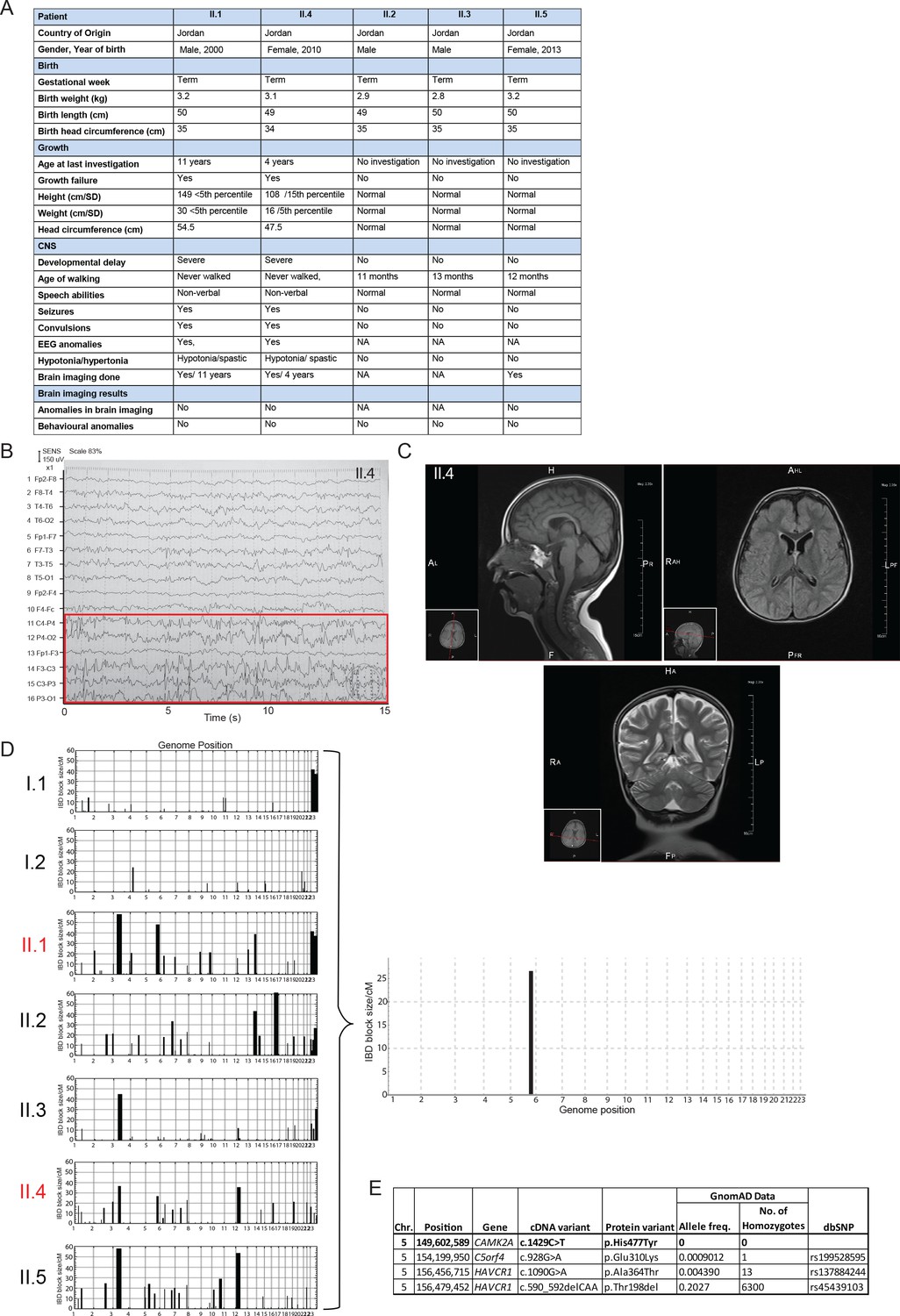 Figures and data in A homozygous loss-of-function CAMK2A mutation ...