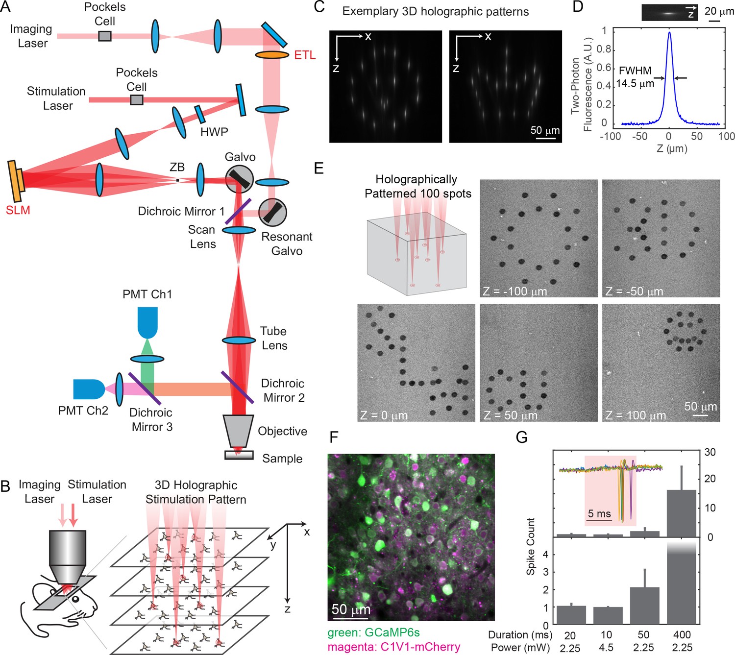 Simultaneous Two-photon Imaging And Two-photon Optogenetics Of Cortical ...