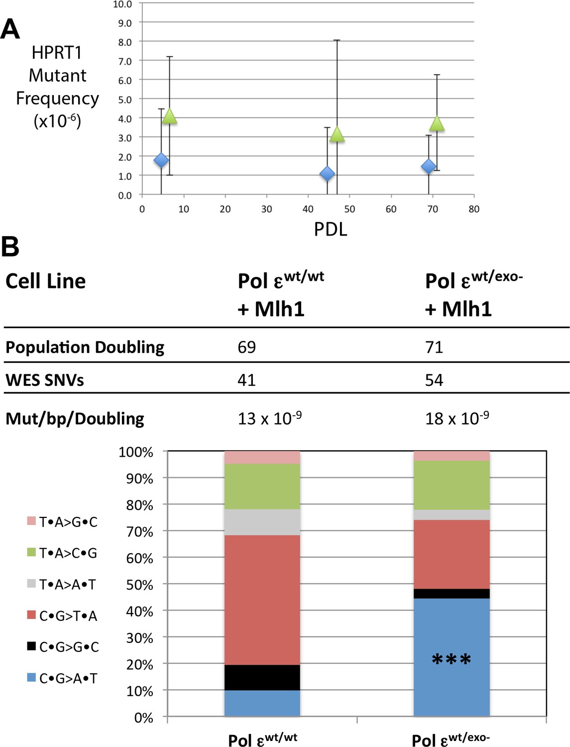 Explosive mutation accumulation triggered by heterozygous Explosive mutation accumulation triggered by heterozygous