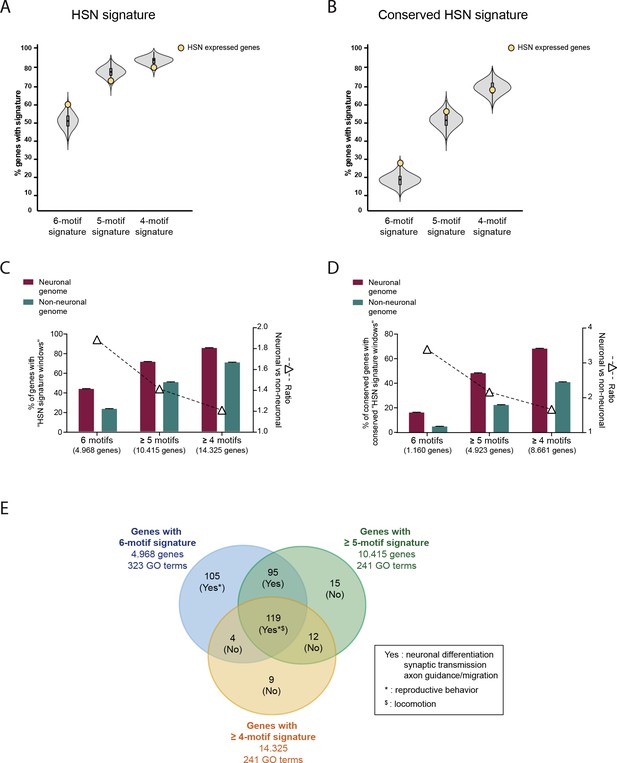 Figures and data in A transcription factor collective defines the HSN ...