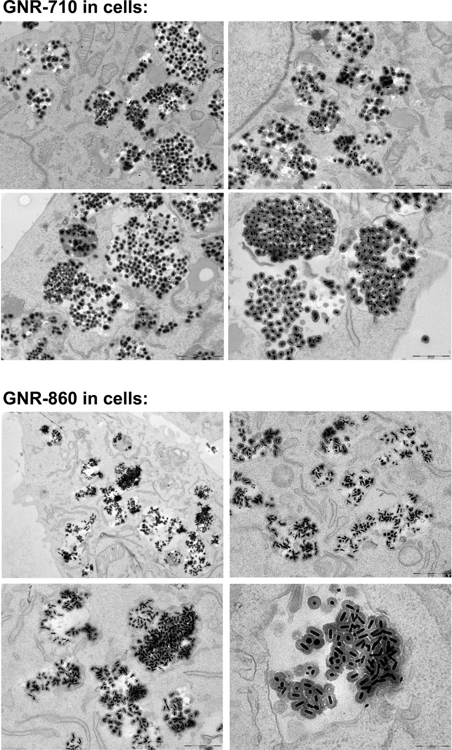 Figures And Data In Multimodal Cell Tracking From Systemic ...