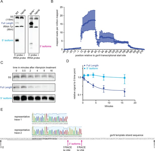 Figures and data in Gene network analysis identifies a central post ...