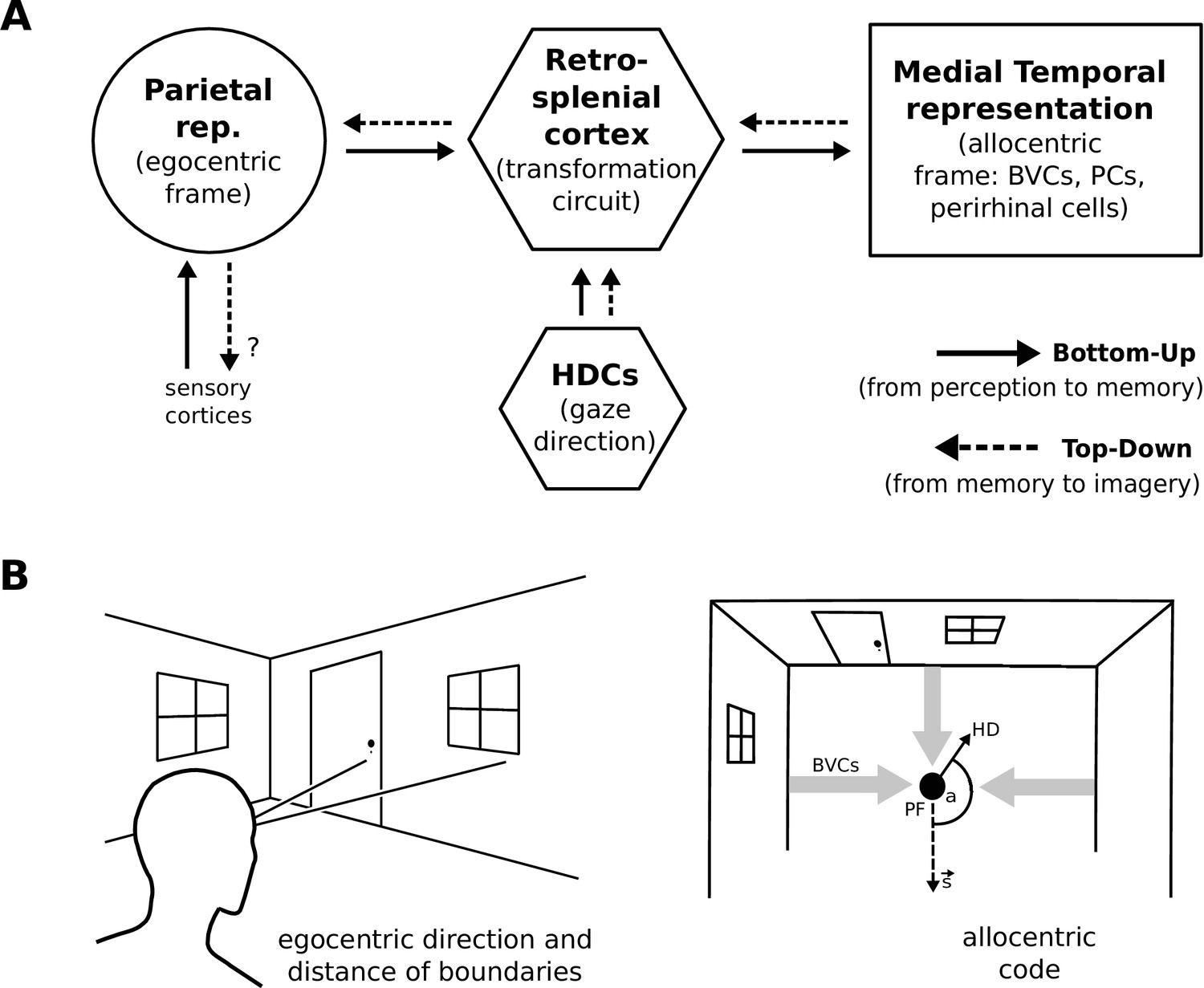 A neural-level model of spatial memory and imagery  eLife