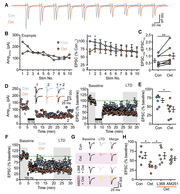 Figures and data in Oxytocin functions as a spatiotemporal filter for ...
