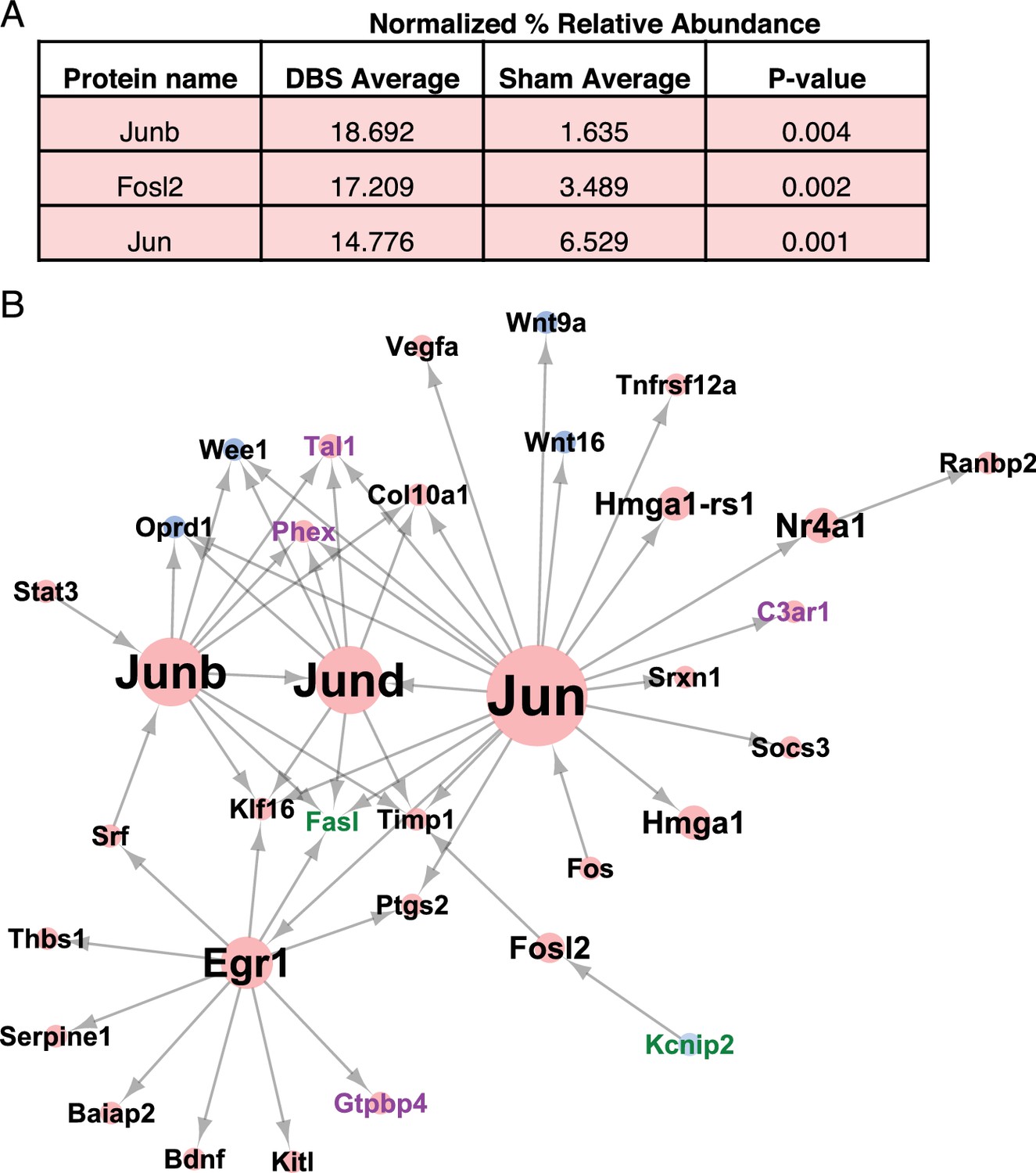 Forniceal deep brain stimulation induces gene expression and