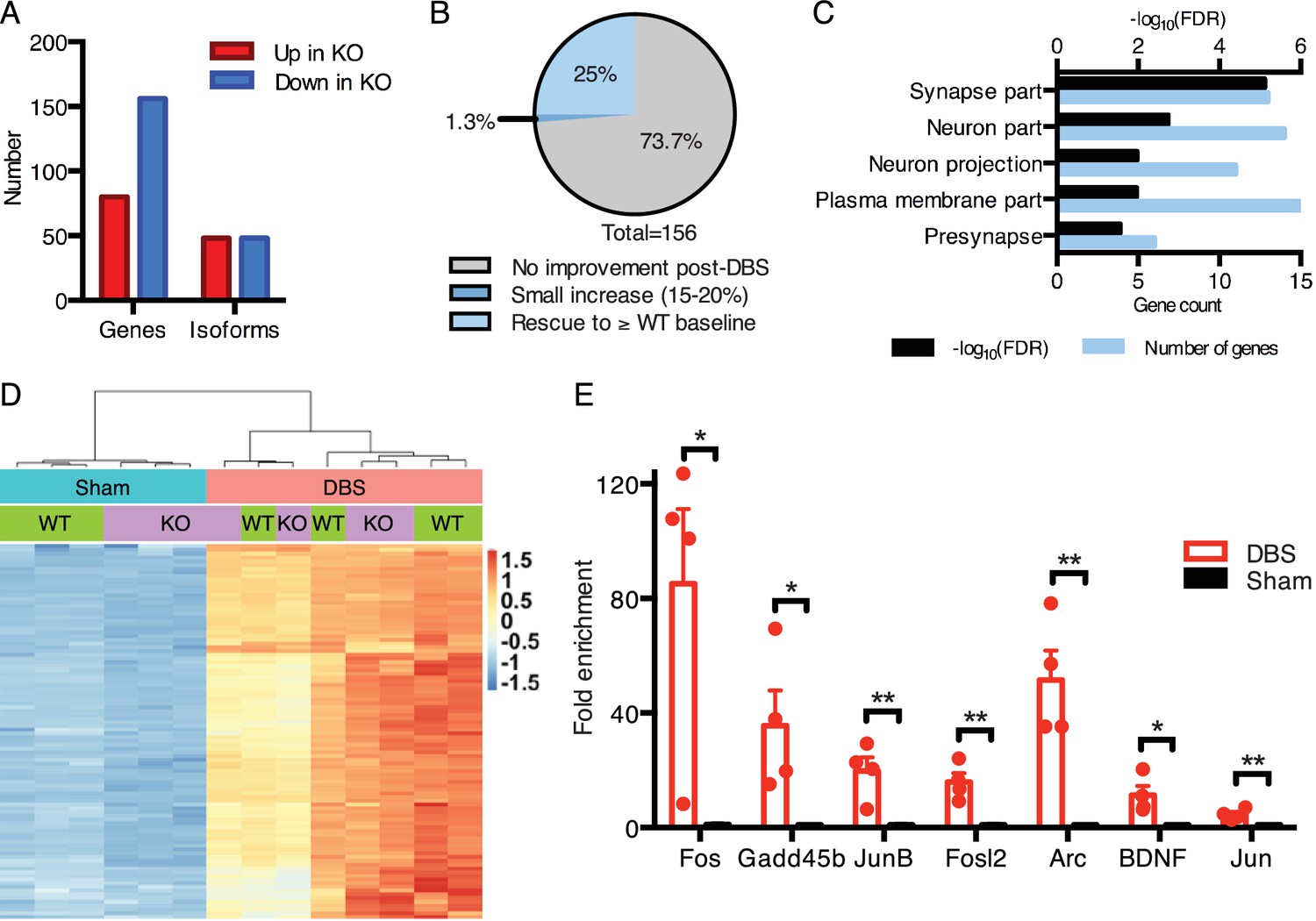 Forniceal deep brain stimulation induces gene expression and