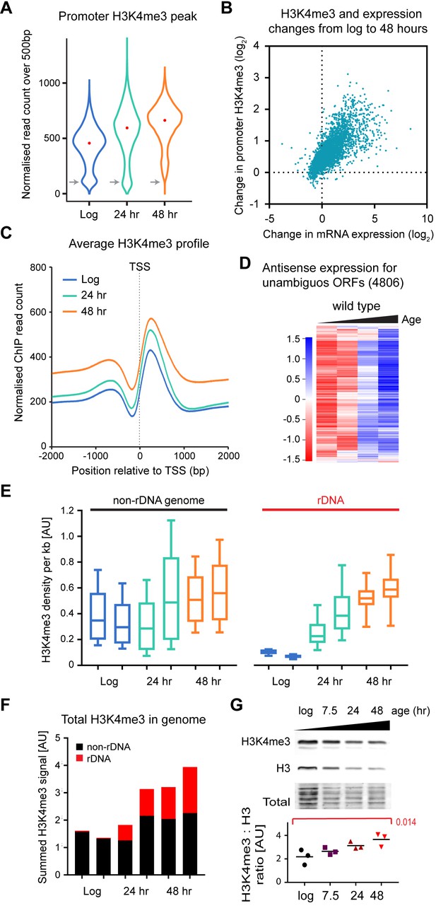 Tri-methylation of histone H3 lysine 4 facilitates gene expression in ...