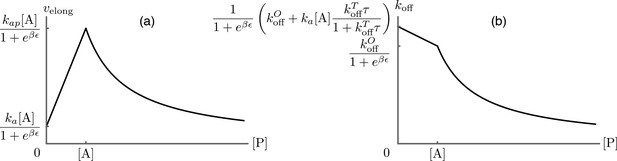 Figures and data in Modulation of formin processivity by profilin and ...