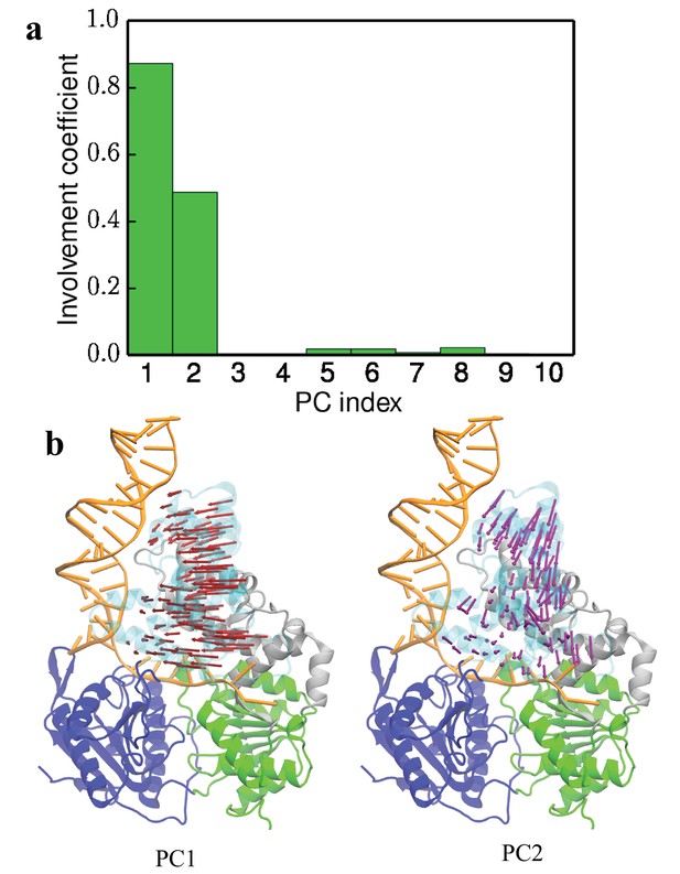 Figures and data in Free-energy simulations reveal molecular mechanism ...